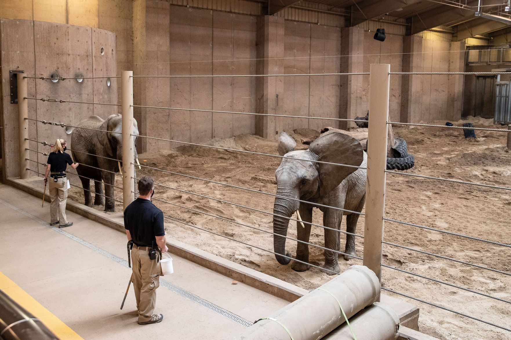031921-owh-new-elephants-pic-cm006